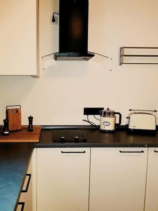 Komfortables Apartment Im Zentrum Erfurts Eksteriør bilde